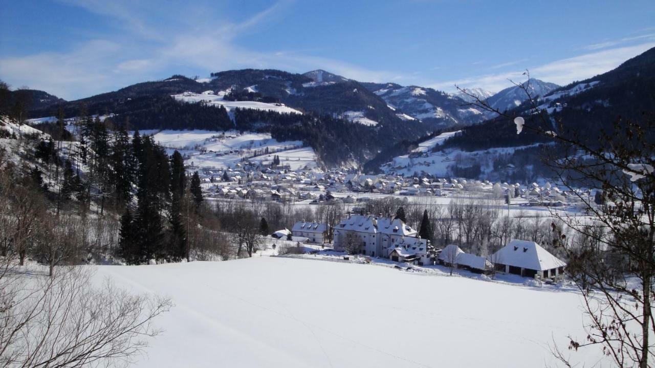 Haus Moser Oblarn エクステリア 写真